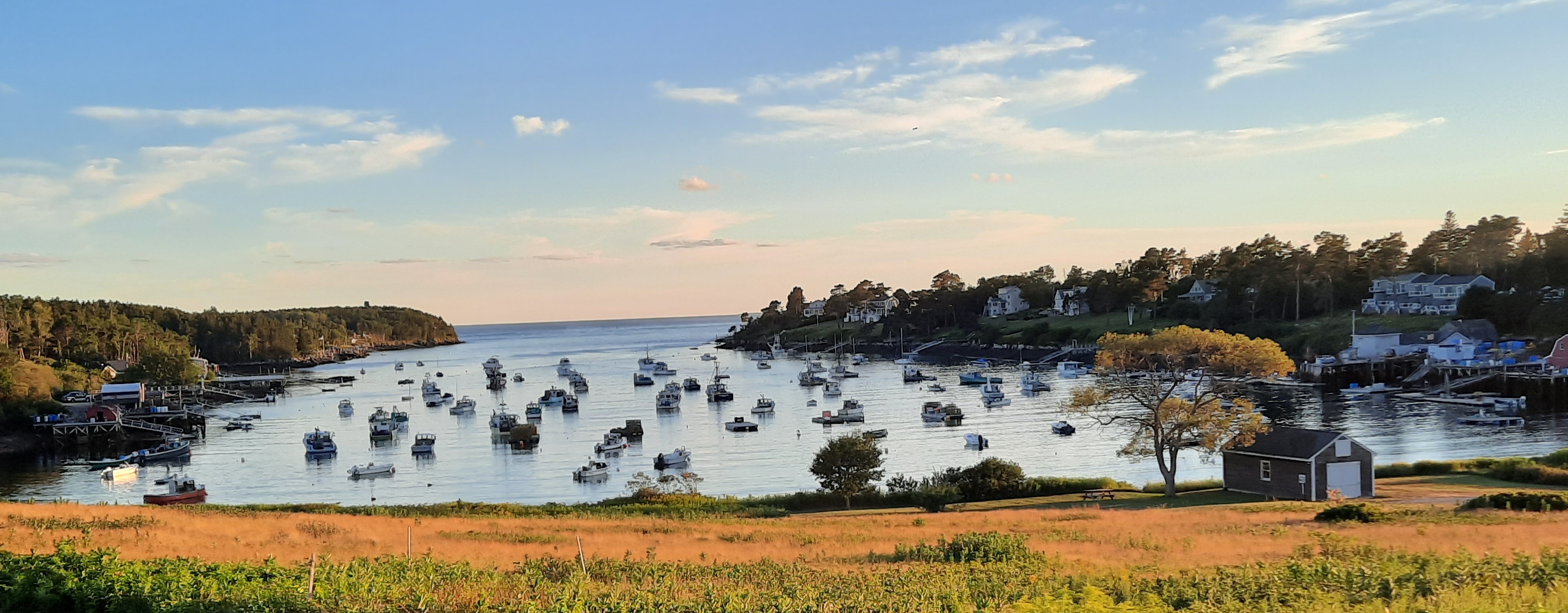 Study cello in
            Scenic Maine!